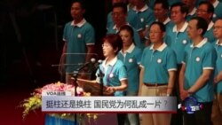 VOA连线:挺柱还是换柱,国民党为何乱成一片? VOA连线:挺柱还是换柱,国民党为何乱成一片?