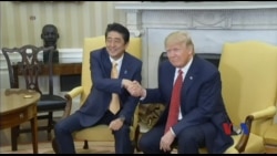 川普会晤安倍 承诺加强美日同盟 川普会晤安倍 承诺加强美日同盟