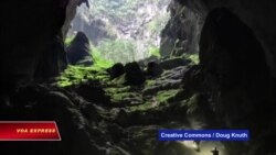 Việt Nam phát hiện thêm 58 hang động mới tại Phong Nha Việt Nam phát hiện thêm 58 hang động mới tại Phong Nha