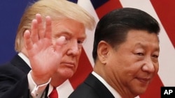 特朗普2017年11月访华与习近平会面(美联社)