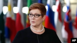 资料照:澳大利亚外长佩恩