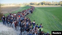 移民跋涉进入斯洛文尼亚。(2015年10月20日)