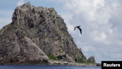 资料照片:一只海鸟飞过东中国海日本称作尖阁、中国称作钓鱼岛的岛屿。(2012年9月2日)
