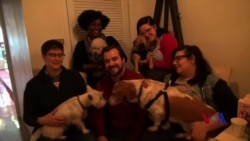 让狗吃好:走进爱犬咖啡店 让狗吃好:走进爱犬咖啡店