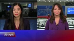 VOA连线(张佩芝岘港报道):APEC岘港宣言;TPP变CPTPP;叙利亚声明 VOA连线(张佩芝岘港报道):APEC岘港宣言;TPP变CPTPP;叙利亚声明