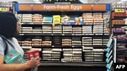 资料照片:美国加利福尼亚州洛杉矶地区一家超市出售的鸡蛋。(2025年2月10日)