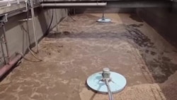 追踪新冠另辟蹊径 城市污水暗藏玄机 追踪新冠另辟蹊径 城市污水暗藏玄机