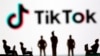加拿大经国安审查后下令关闭TikTok加拿大分公司办公室