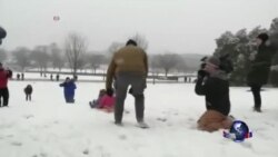 严寒冰雪天气袭击美东地区 严寒冰雪天气袭击美东地区