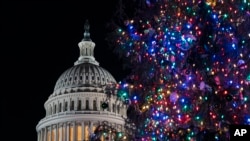 华盛顿国会山的圣诞树和国会大厦 (2024年12月19日)