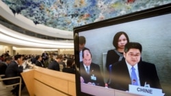 时事大家谈: 中共下决心解决挨骂问题,战狼外交会奏效吗? 时事大家谈: 中共下决心解决挨骂问题,战狼外交会奏效吗?