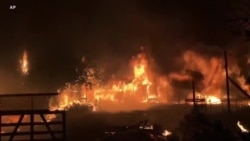 西部野火肆虐 政府民间联手正本清源 西部野火肆虐 政府民间联手正本清源