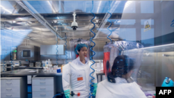 资料照:武汉病毒研究所的病毒学家石正丽(左)在该所的P4实验室内。