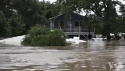 美国万花筒：专家:沿海受极端气候威胁最大