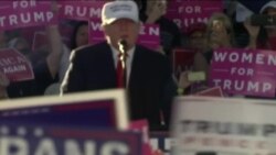 下游选票:国会选举的川普效应 下游选票:国会选举的川普效应