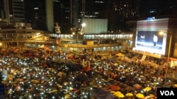 Borboleta em campo de trigo em Peshawar no Paquistão.
