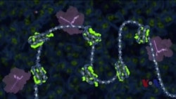 战胜肿瘤的个性化方式 战胜肿瘤的个性化方式