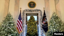 白宫喜迎圣诞节,国家圣诞树亮了(24图)