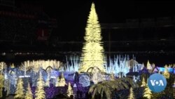 VOA英语视频: “魔力圣诞”点亮华盛顿市中心 VOA英语视频: “魔力圣诞”点亮华盛顿市中心