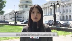 美议员推新冠问责法 授权白宫制裁中国 美议员推新冠问责法 授权白宫制裁中国