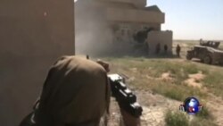 什叶派民兵用手机对抗伊斯兰国宣传 什叶派民兵用手机对抗伊斯兰国宣传