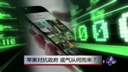 时事大家谈:苹果对抗政府,底气从何而来? 时事大家谈:苹果对抗政府,底气从何而来?