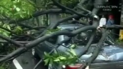 Bão Haiyan hoành hành ở miền Trung Philippines Bão Haiyan hoành hành ở miền Trung Philippines