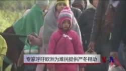 严冬将至,专家呼吁欧洲为难民提供更多帮助 严冬将至,专家呼吁欧洲为难民提供更多帮助