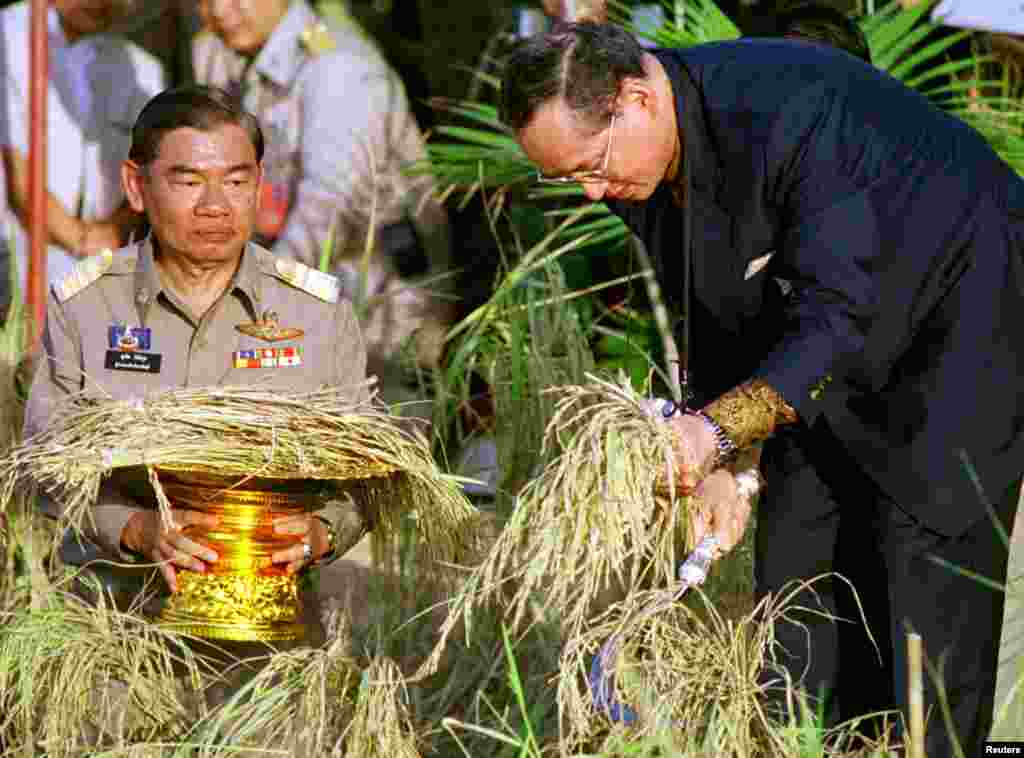 King Bhumibol Adulyadej (R) harvests rice at a project sponsored by the royal family in Prachinburi province about 100 kms east of Bangkok, Nov. 18, 1998. The 71-year-old king told local farmers that self-reliance would help them weather the country's most severe economic crisis in decades.