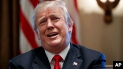 美国总统川普在白宫召开的内阁会议上讲话。(2018年1月10日)