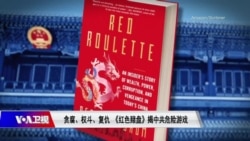 焦点对话:贪腐、权斗、复仇 《红色赌盘》揭中共危险游戏? 焦点对话:贪腐、权斗、复仇 《红色赌盘》揭中共危险游戏?