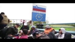 移民要求斯洛文尼亚开放边界 移民要求斯洛文尼亚开放边界