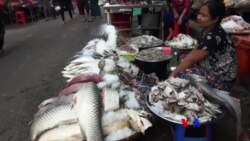 သံဓါတ်မချို့တဲ့အောင် စားသုံးပါ သံဓါတ်မချို့တဲ့အောင် စားသုံးပါ