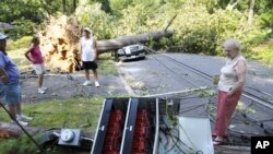 Bà Marilyn Golias (phải) nhìn cột điện trước nhà bà, ở Falls Church, Virginia - bị ngã đổ trong cơn bão, chắn ngang đường