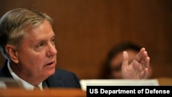 资料照片:格雷厄姆参议员(2012年6月13日)