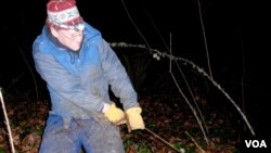 Ông Kevin Head, một người tình nguyện làm công việc dẹp dây leo ivy trong công viên Priest Point Park, tiểu bang Washington