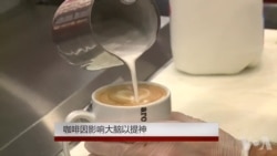 咖啡因影响大脑以提神 咖啡因影响大脑以提神