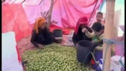 လိုင်းခါး သို့မဟုတ် လယ်မြေကြားကရွာ လိုင်းခါး သို့မဟုတ် လယ်မြေကြားကရွာ