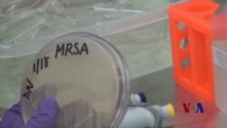 微小机器人未来或可进入人体消灭超级病菌 微小机器人未来或可进入人体消灭超级病菌