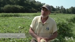 美国农业部的有机农作物认证