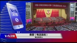 时事大家谈:经济风险,政治危机,中国人大在“惊涛骇浪”中开场? 时事大家谈:经济风险,政治危机,中国人大在“惊涛骇浪”中开场?