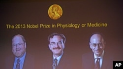 美国科学家詹姆斯·罗斯曼和兰迪·谢克曼,以及德国科学家托马斯·苏德霍夫因在细胞内运输系统的研究而获奖