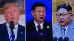 焦点对话:川普取消美朝峰会,习近平要负多大责任? 焦点对话:川普取消美朝峰会,习近平要负多大责任?