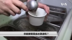 你能接受昆虫冰激凌吗? 你能接受昆虫冰激凌吗?
