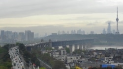 时事大家谈:疫情当前各地复工,“光荣上岗”还是“居家保命”成两难? 时事大家谈:疫情当前各地复工,“光荣上岗”还是“居家保命”成两难?