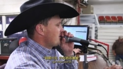 走进美国:美国牛只拍卖师的语言技巧 走进美国:美国牛只拍卖师的语言技巧