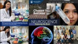 ဦးနှောက်နဲ့ အာရုံကြောဆိုင်ရာ ပါရဂူဘွဲ့ရ သီရိလင်း ဦးနှောက်နဲ့ အာရုံကြောဆိုင်ရာ ပါရဂူဘွဲ့ရ သီရိလင်း