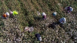 中国因“涉疆谣言”起诉德国学者 是新策略还是作秀? 中国因“涉疆谣言”起诉德国学者 是新策略还是作秀?