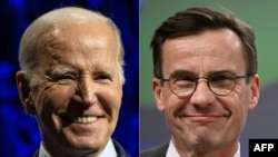 资料照：美国总统拜登（左）与瑞典首相乌尔夫·克里斯特松