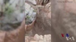 美国亚利桑那州暴洪淹死9人 美国亚利桑那州暴洪淹死9人